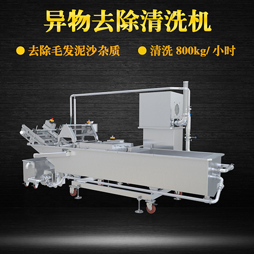 果蔬氣泡翻洗機(jī)，有效清洗，過濾泥沙